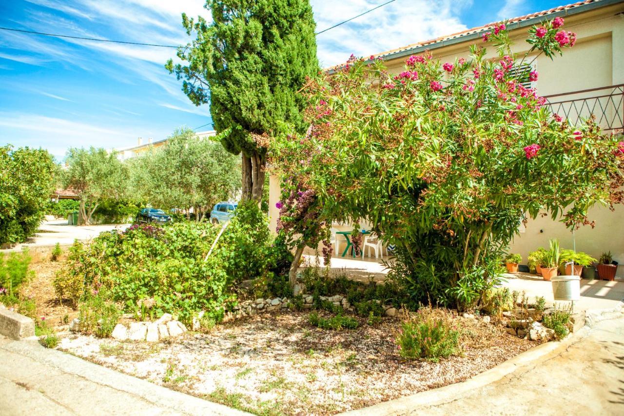 Apartments Alma Novalja Luaran gambar