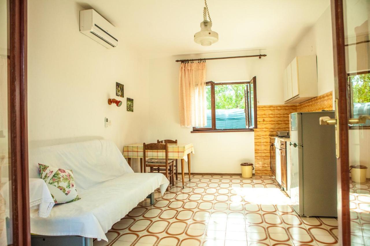 Apartments Alma Novalja Luaran gambar