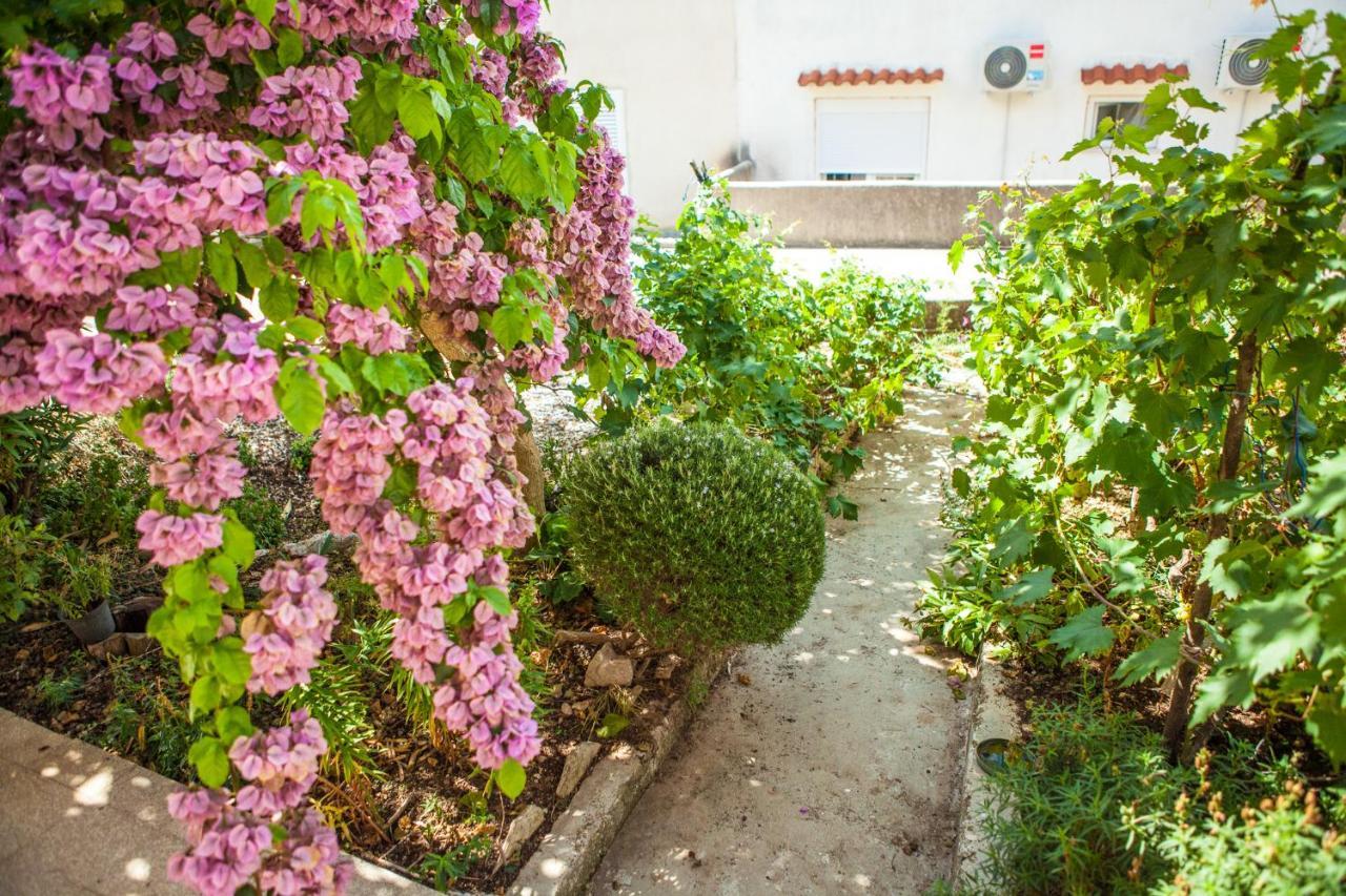 Apartments Alma Novalja Luaran gambar